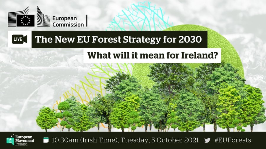 Online event on the new EU Forest Strategy: promo image