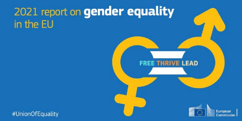 Image promoting the report on gender equality