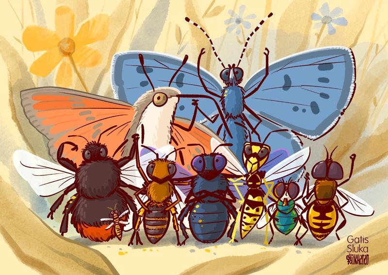 Drawing showing the different types of pollinators: butterflies, bees, ...