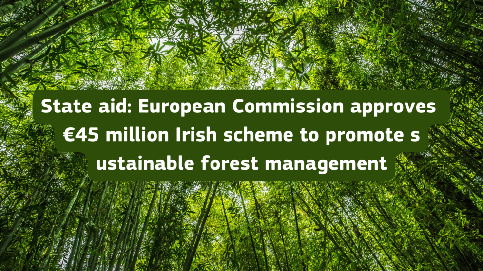 Image of forest with text: tate aid: European Commission approves  €45 million Irish scheme to promote s ustainable forest management