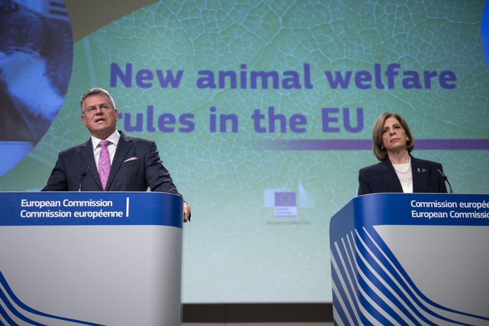 Maroš Šefcovic, Executive Vice-President of the European Commission in charge of the European Green Deal, Interinstitutional Relations and Foresight, and Stella Kyriakides, European Commissioner for Health and Food Safety, at the press conference on animal welfare.