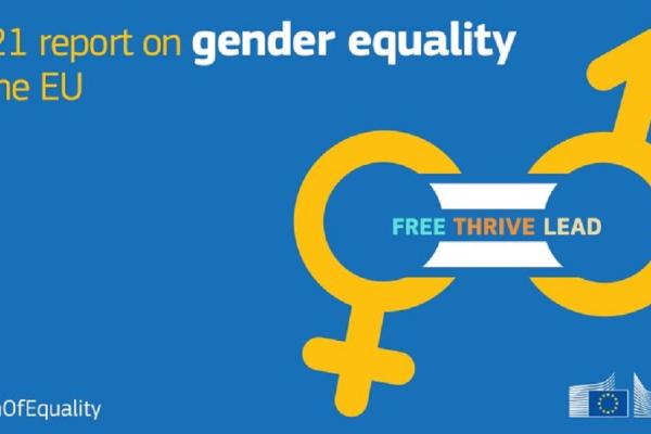 Image promoting the report on gender equality