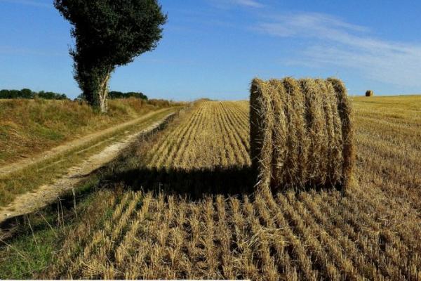 Agricultural land with bale of hay
