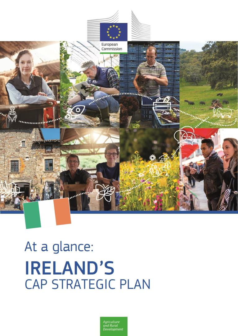 Image of the cover of the report - At a glance: Ireland's CAP Strategic Plan